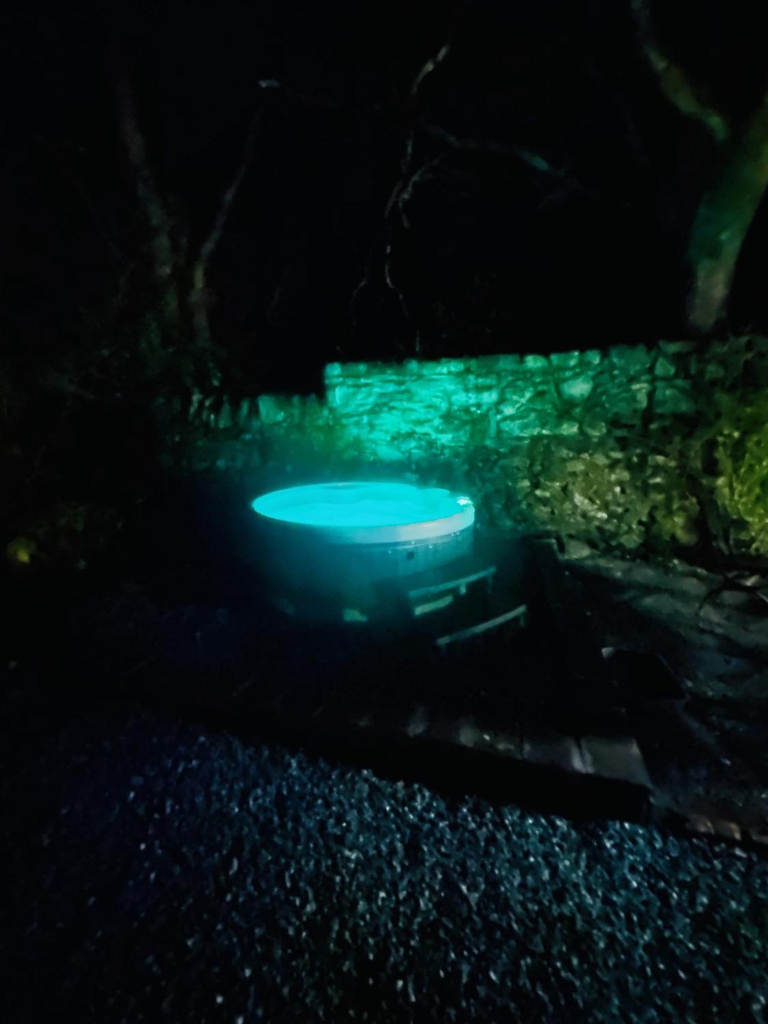 Tiny Romantic Retreat With Hot Tub On A Country Estate Near Cardigan Bay In Eryri Snowdonia Llanbedr  Dış mekan fotoğraf
